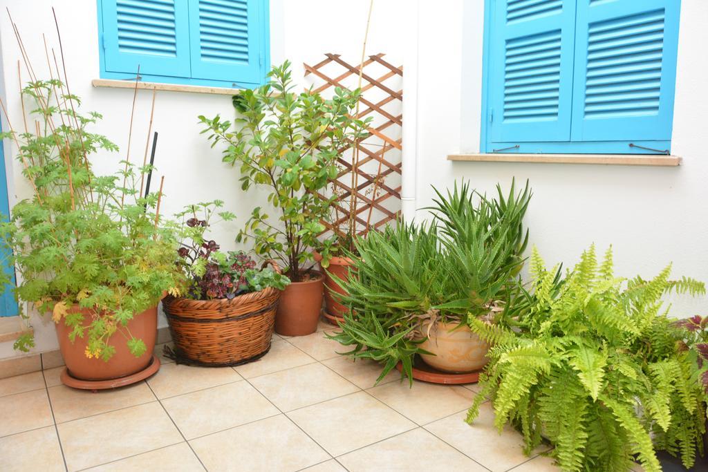 Cypriot Swallow Boutique 4*
