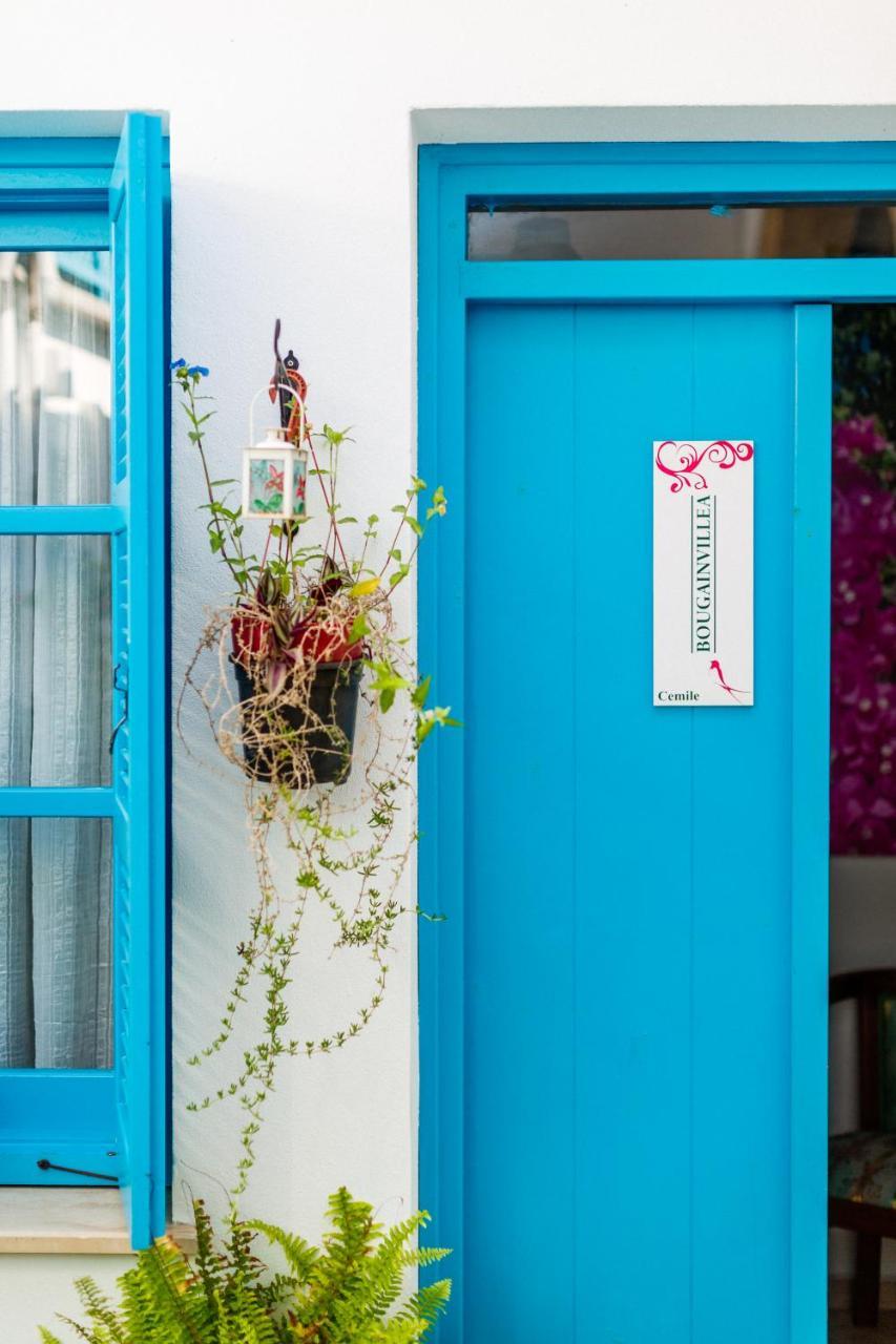 Cypriot Swallow Boutique Bed & Breakfast 4*